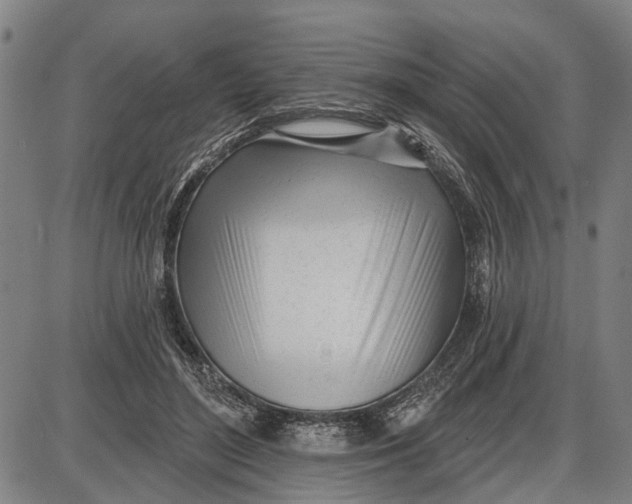 X0000085000500200703261132