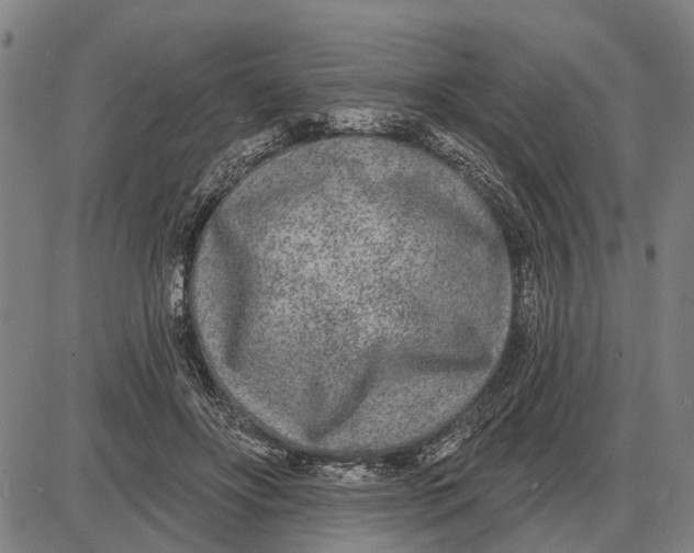 X0000085000502200703261132