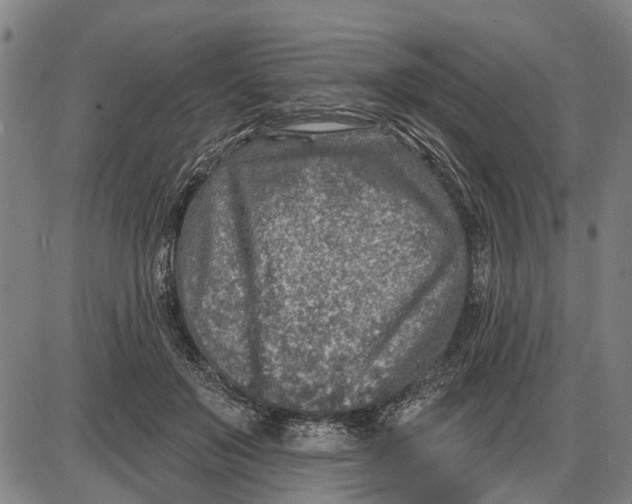 X0000085000503200703261132