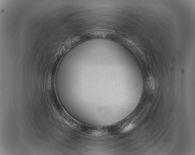 X0000085000504200703261132