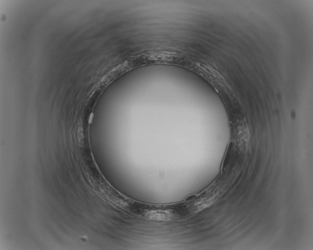 X0000085000508200703261132