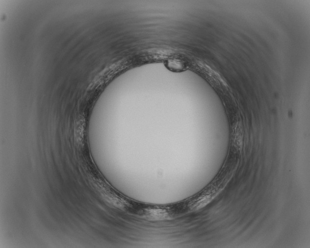 X0000085000509200703261132