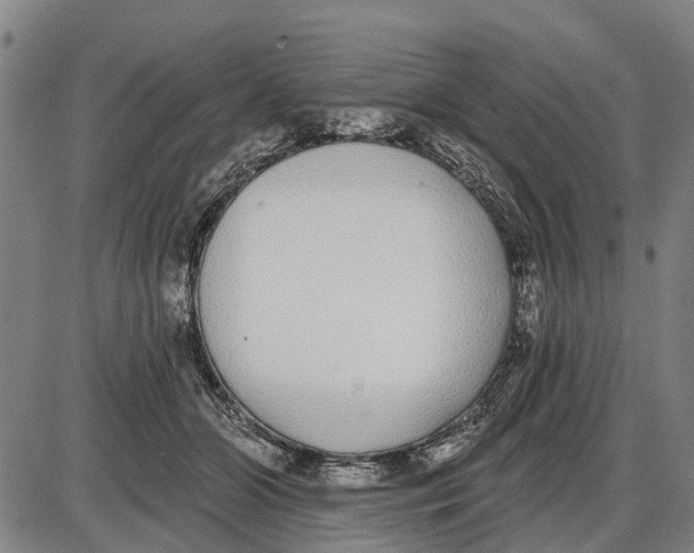 X0000085000510200703261132