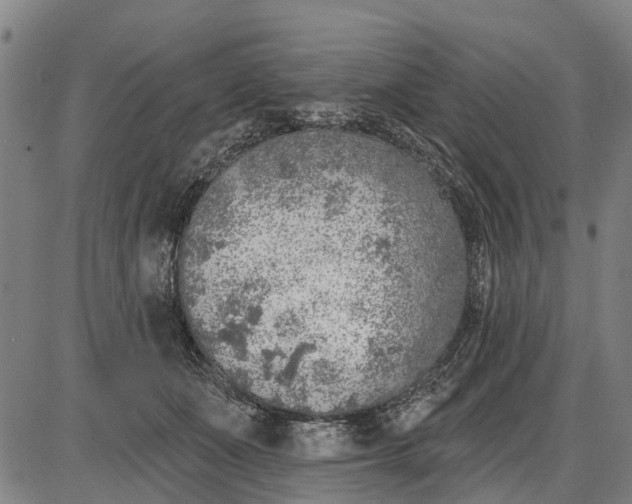 X0000085000511200703261132