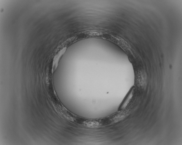 X0000085000512200703261132