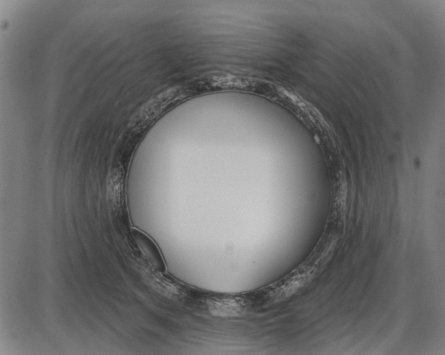 X0000085000513200703261132