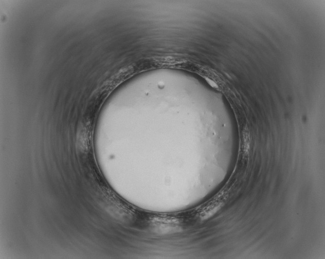 X0000085000515200703261132