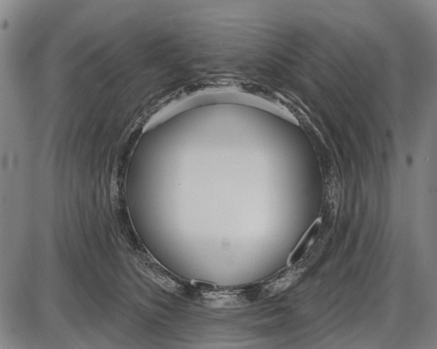 X0000085000516200703261132