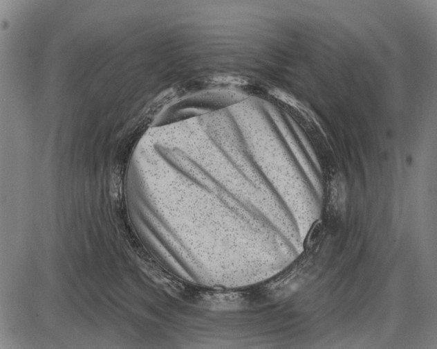 X0000085000517200703261132