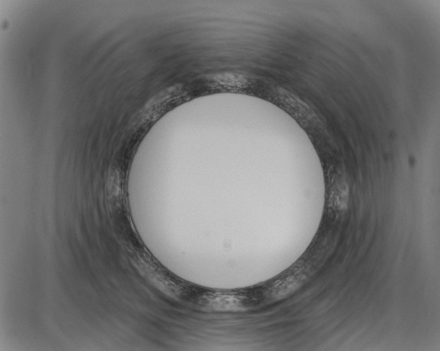 X0000085000518200703261132