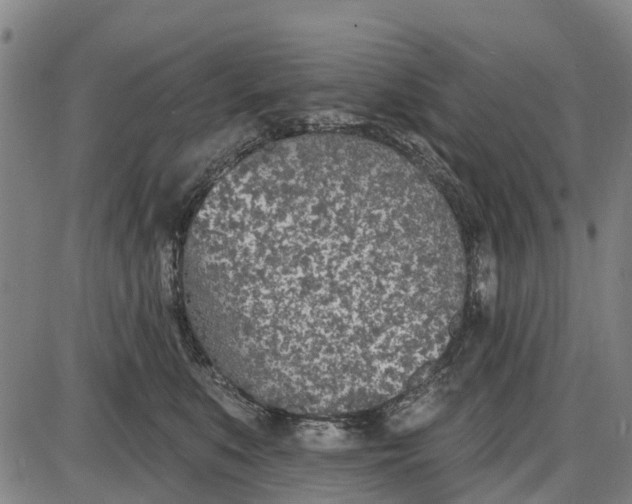 X0000085000519200703261132