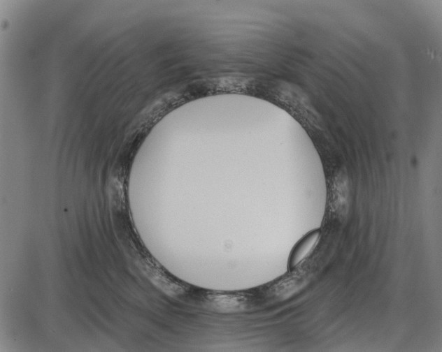 X0000085000522200703261132