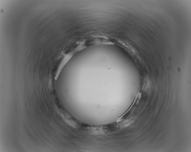 X0000085000524200703261132