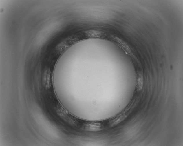 X0000085000525200703261132