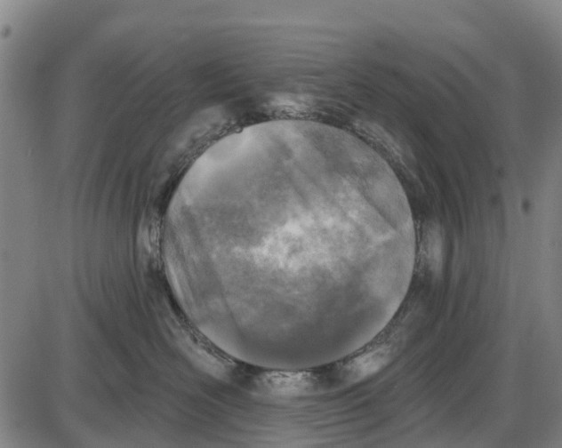 X0000085000526200703261132