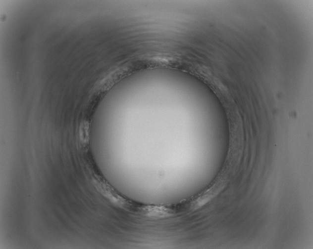 X0000085000528200703261132