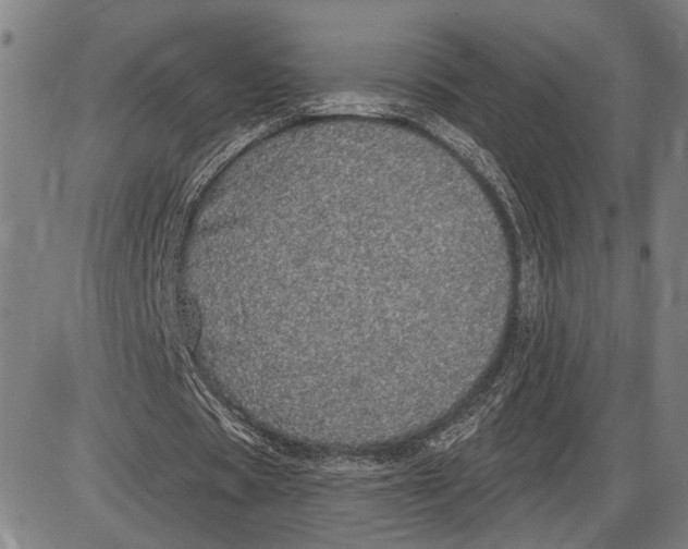 X0000085000529200703261131