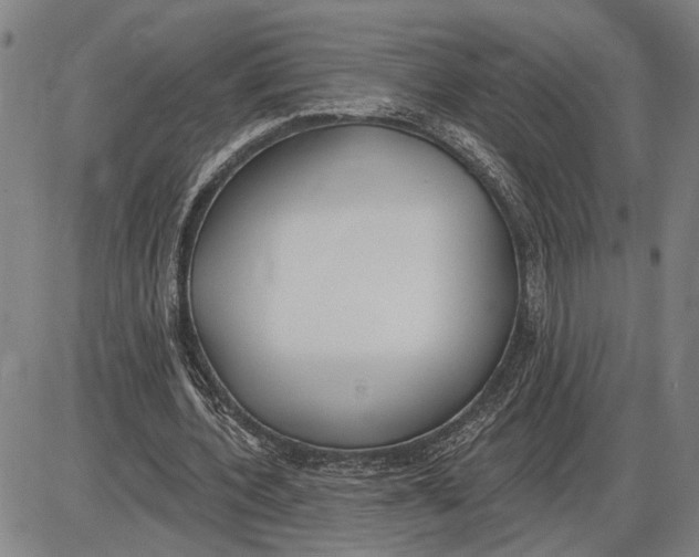 X0000085000532200703261131