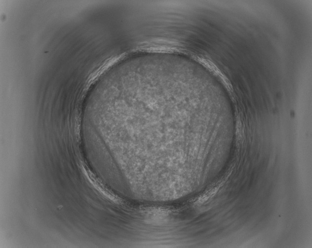 X0000085000533200703261131