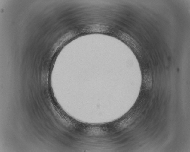 X0000085000534200703261131