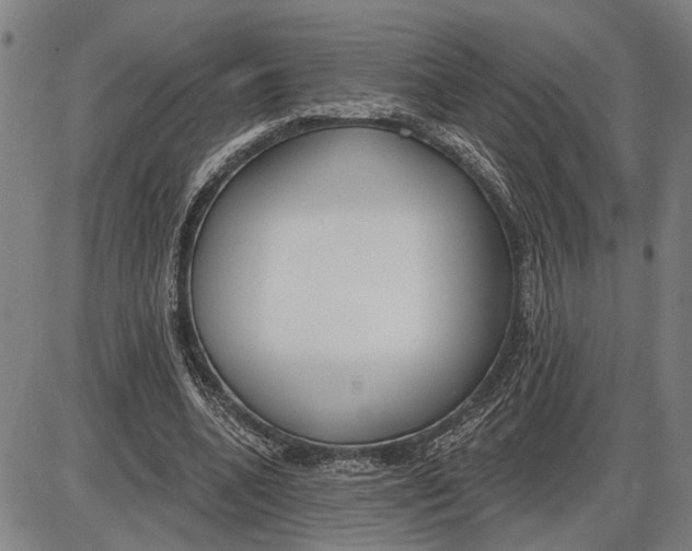 X0000085000536200703261131