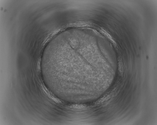 X0000085000537200703261131