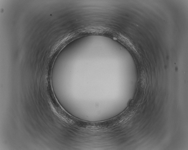 X0000085000538200703261131