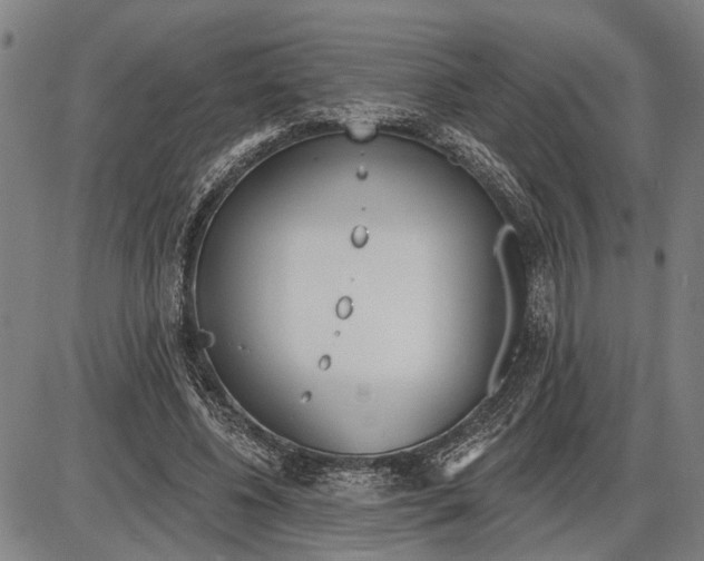 X0000085000540200703261131