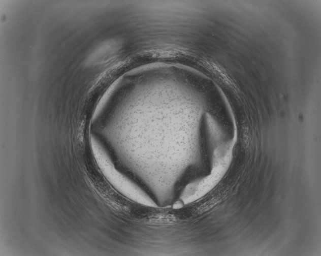 X0000085000543200703261131