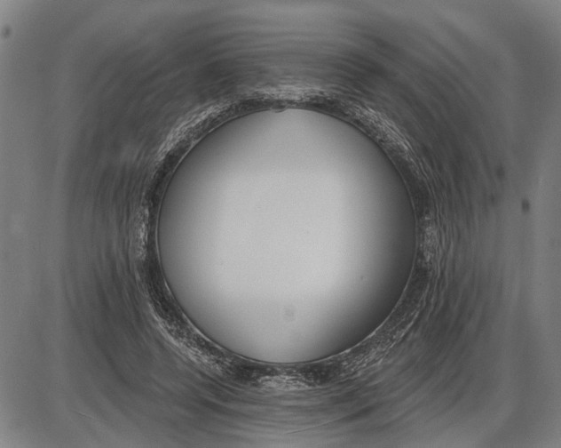 X0000085000544200703261131