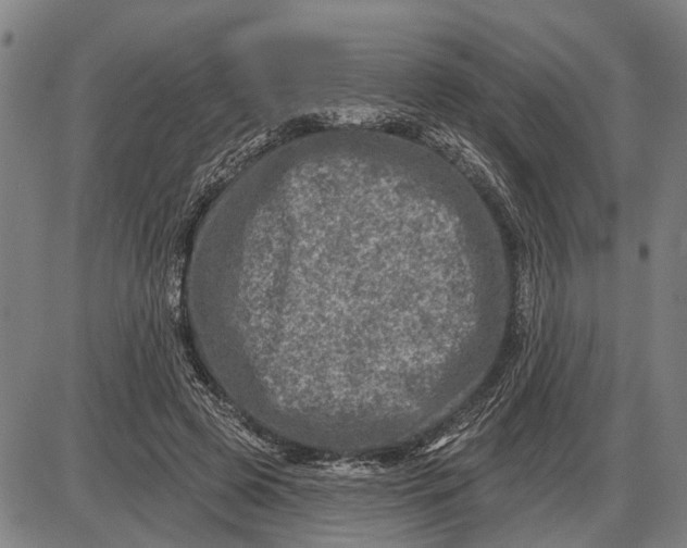 X0000085000545200703261131