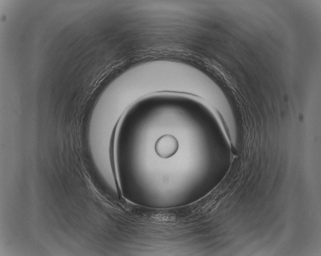 X0000085000546200703261131