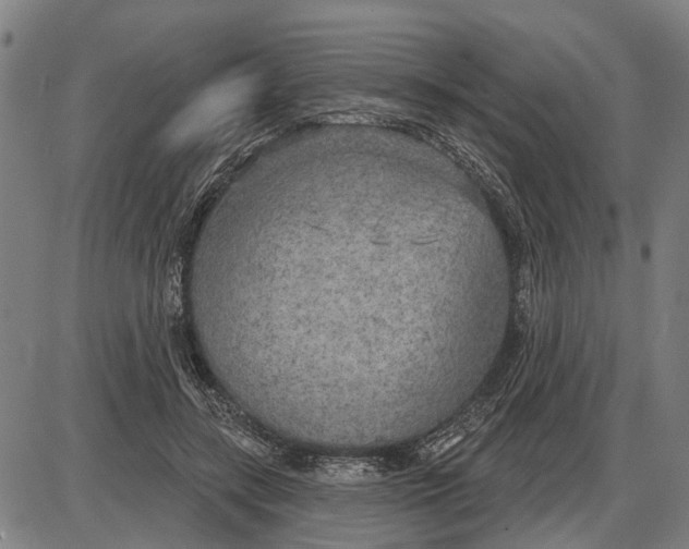 X0000085000547200703261131