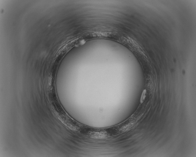 X0000085000548200703261131