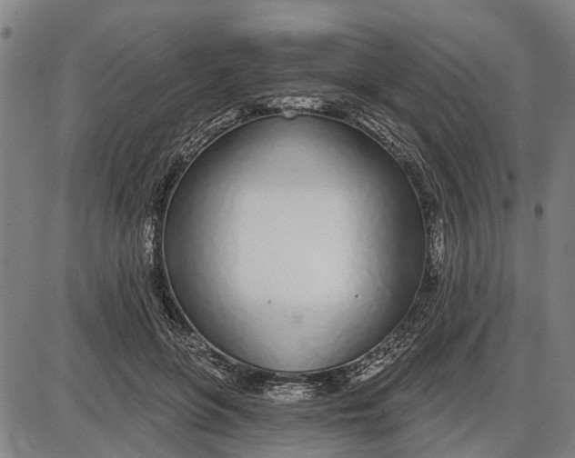 X0000085000551200703261131