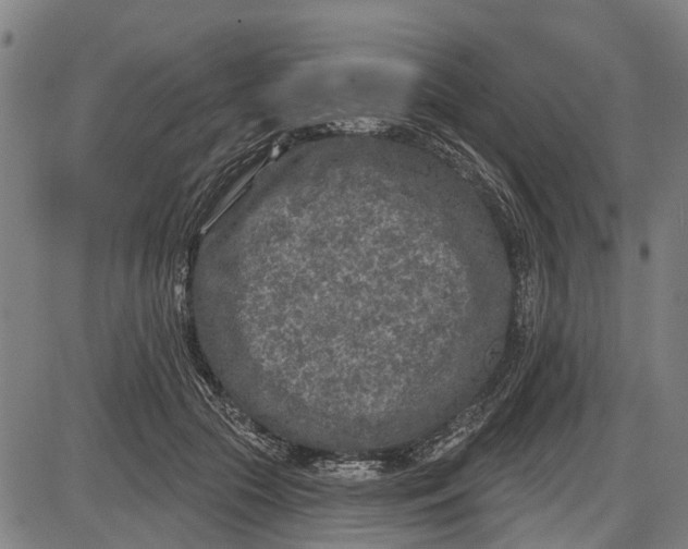 X0000085000553200703261131