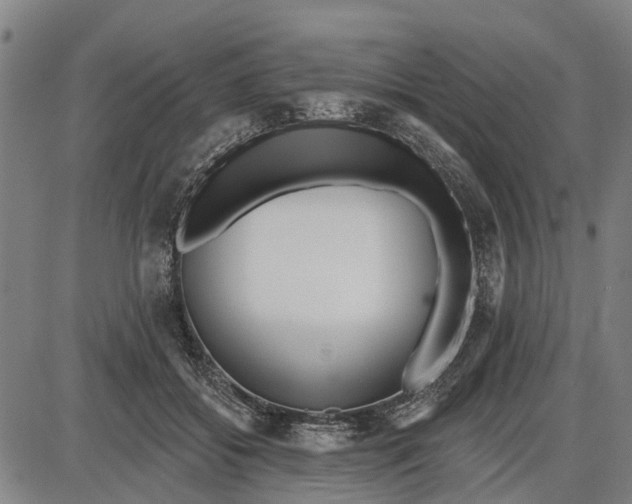 X0000085000556200703261131