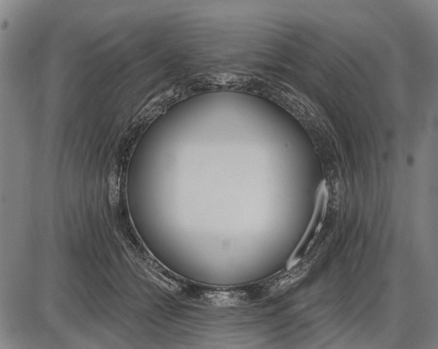 X0000085000558200703261131