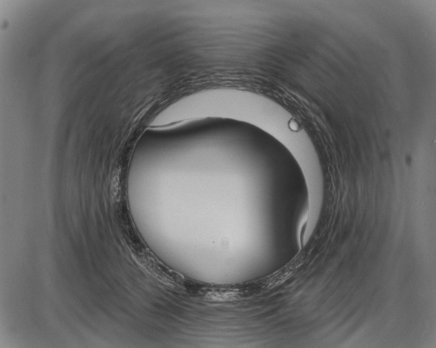 X0000085000560200703261131