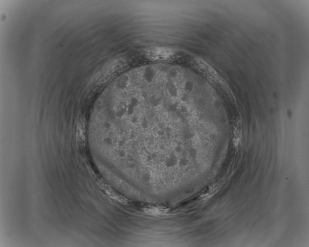 X0000085000561200703261131