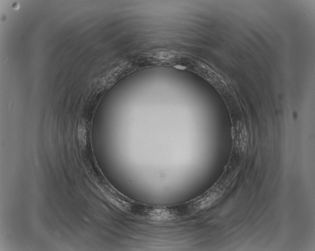 X0000085000562200703261131