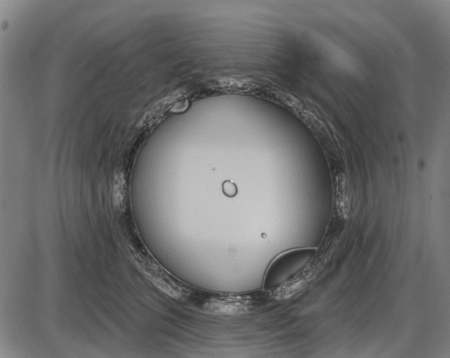 X0000085000563200703261131