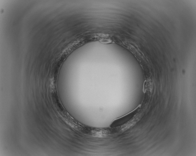 X0000085000564200703261132