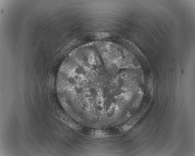 X0000085000565200703261132