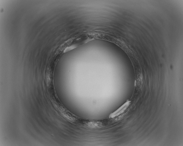 X0000085000566200703261132