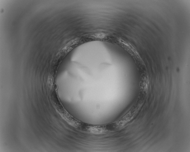 X0000085000568200703261132