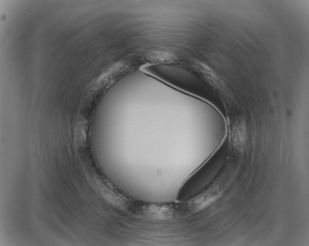 X0000085000570200703261132