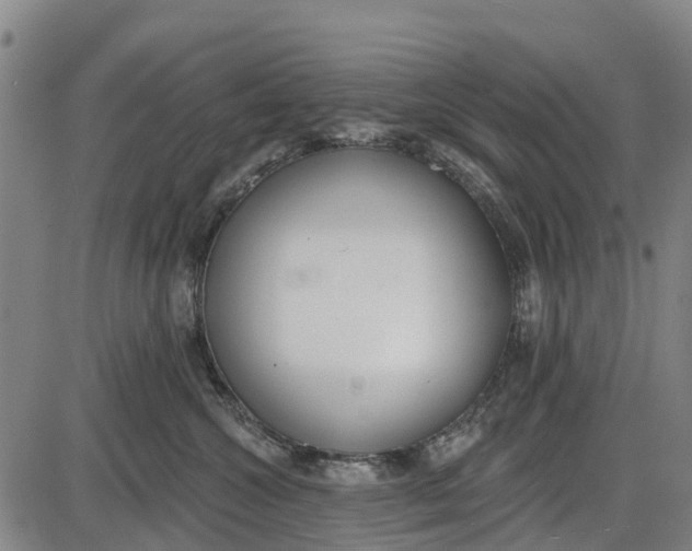 X0000085000572200703261132