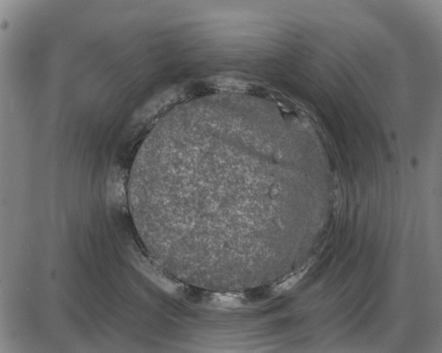 X0000085000573200703261132