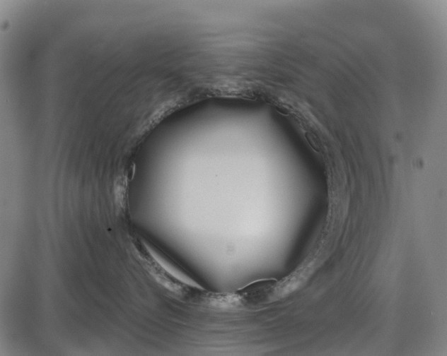 X0000085000576200703261132